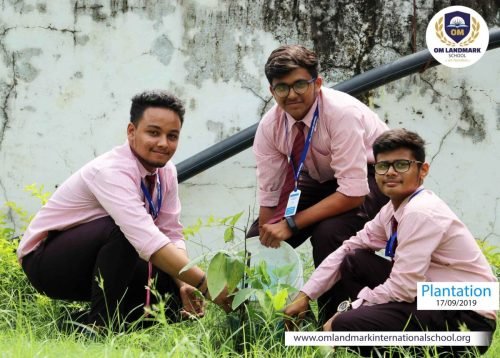 Plantation