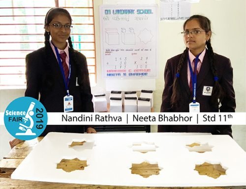 Science-Fair3