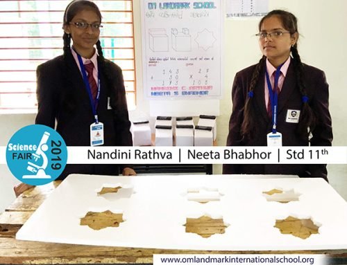 Science-Fair8